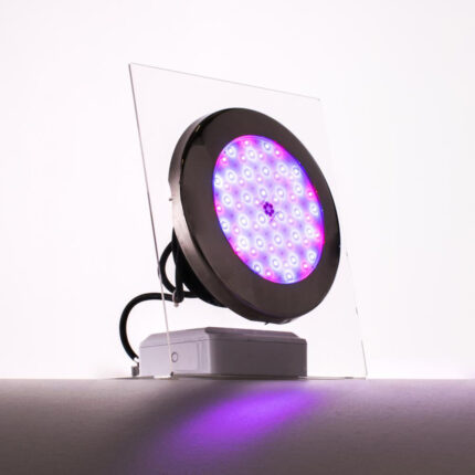 Moonlight LED-lampor (komplett med kablar och flänsar)