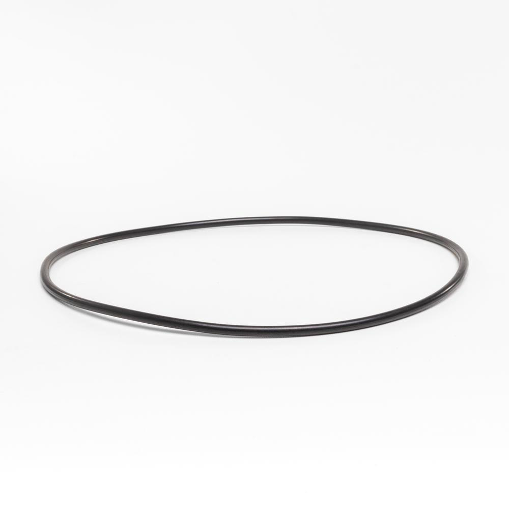 O-Ring mellem mortor og vådende  InverPro pumpe   No 20 - |Pool