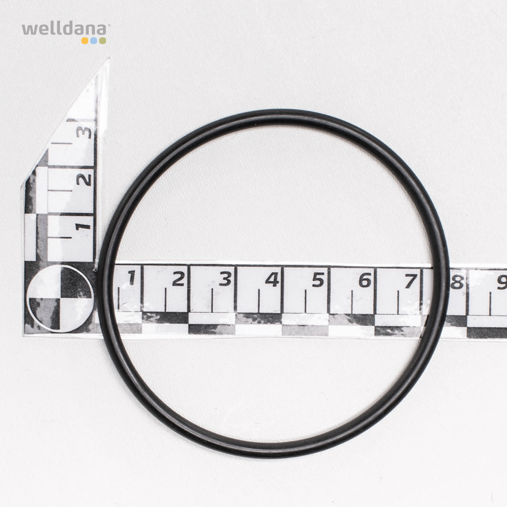 Unions set for Badu Gamma 20.1 2 stk. 63 mm - |Pool