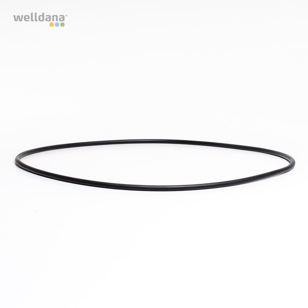 49-421125-welldana0-pool_udstyr-oring_t_forfilter_25l_d380_7mm O-ring t/förfilter 25 L øD380 7 mm - |Pool