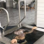 Steelpool Edition kall