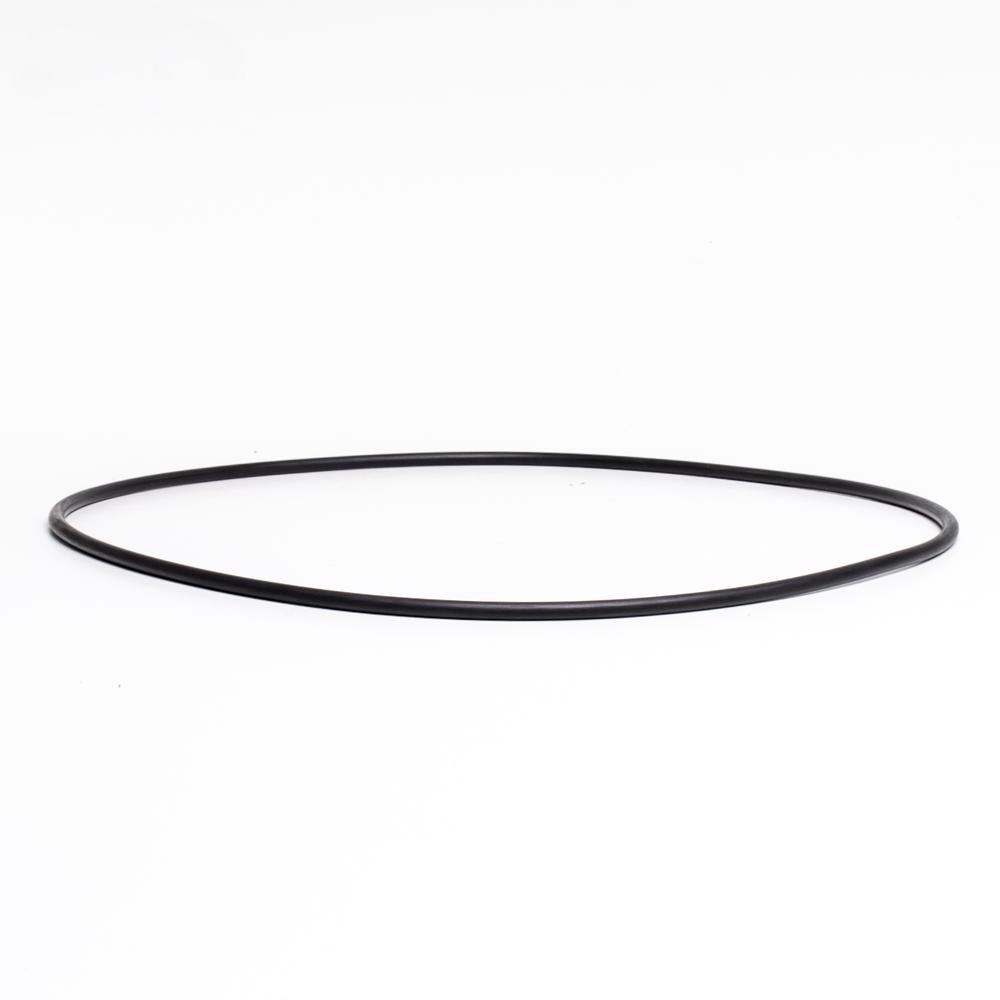 49-421175_welldana_0_o-ring_f_forfilter_75l-ny Stor O ring vådende / flange Superpump Pro - |Pool